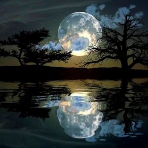 Meet your Posher, Tonya